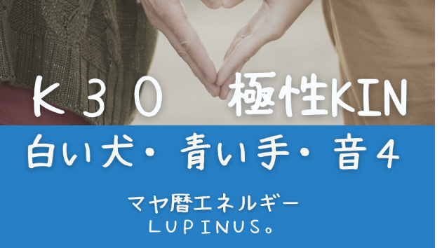 Lupinus。 ルピナスのブログ一覧｜ココナラブログ